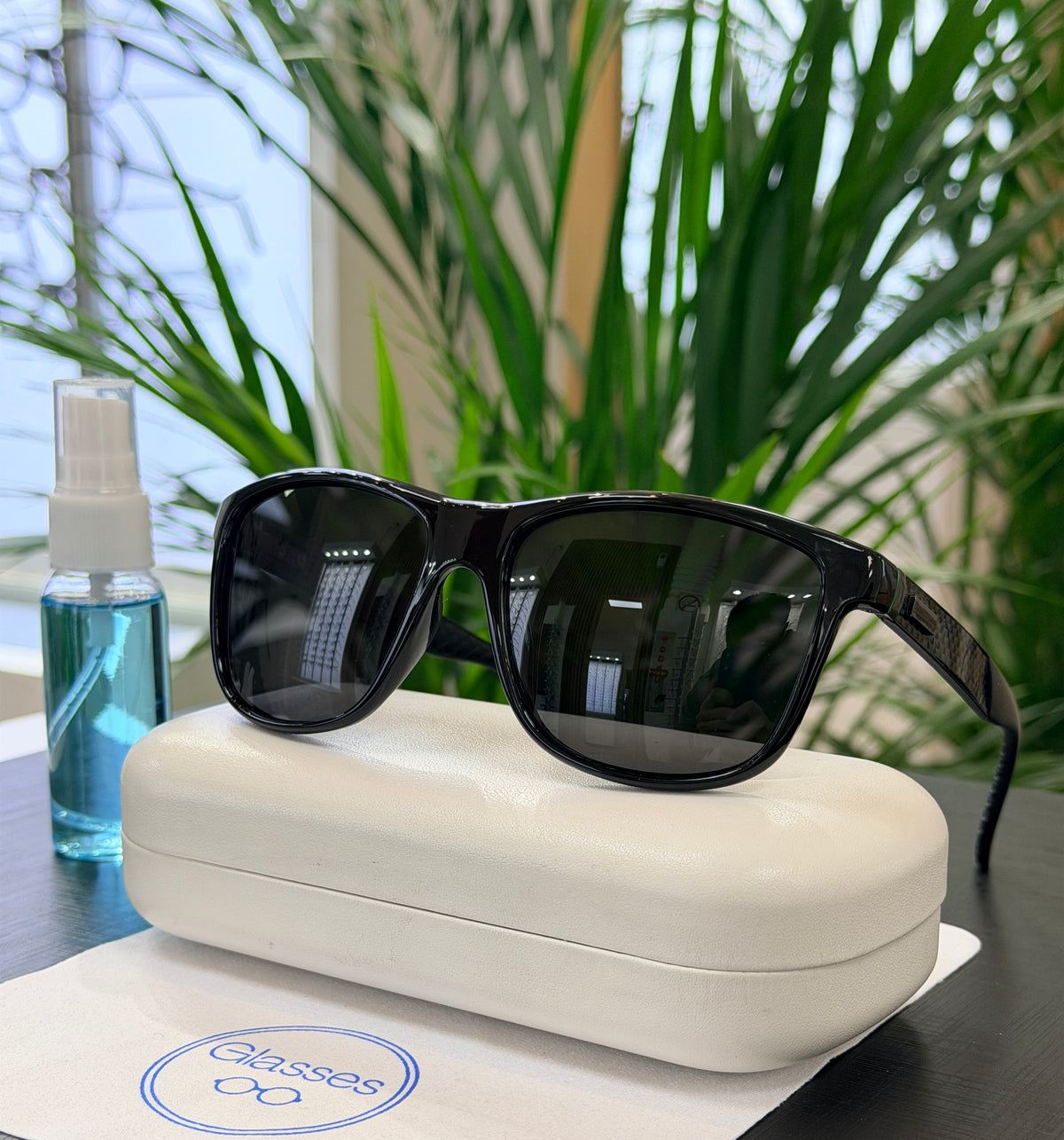Lentes de sol Glasses polarizados PL492