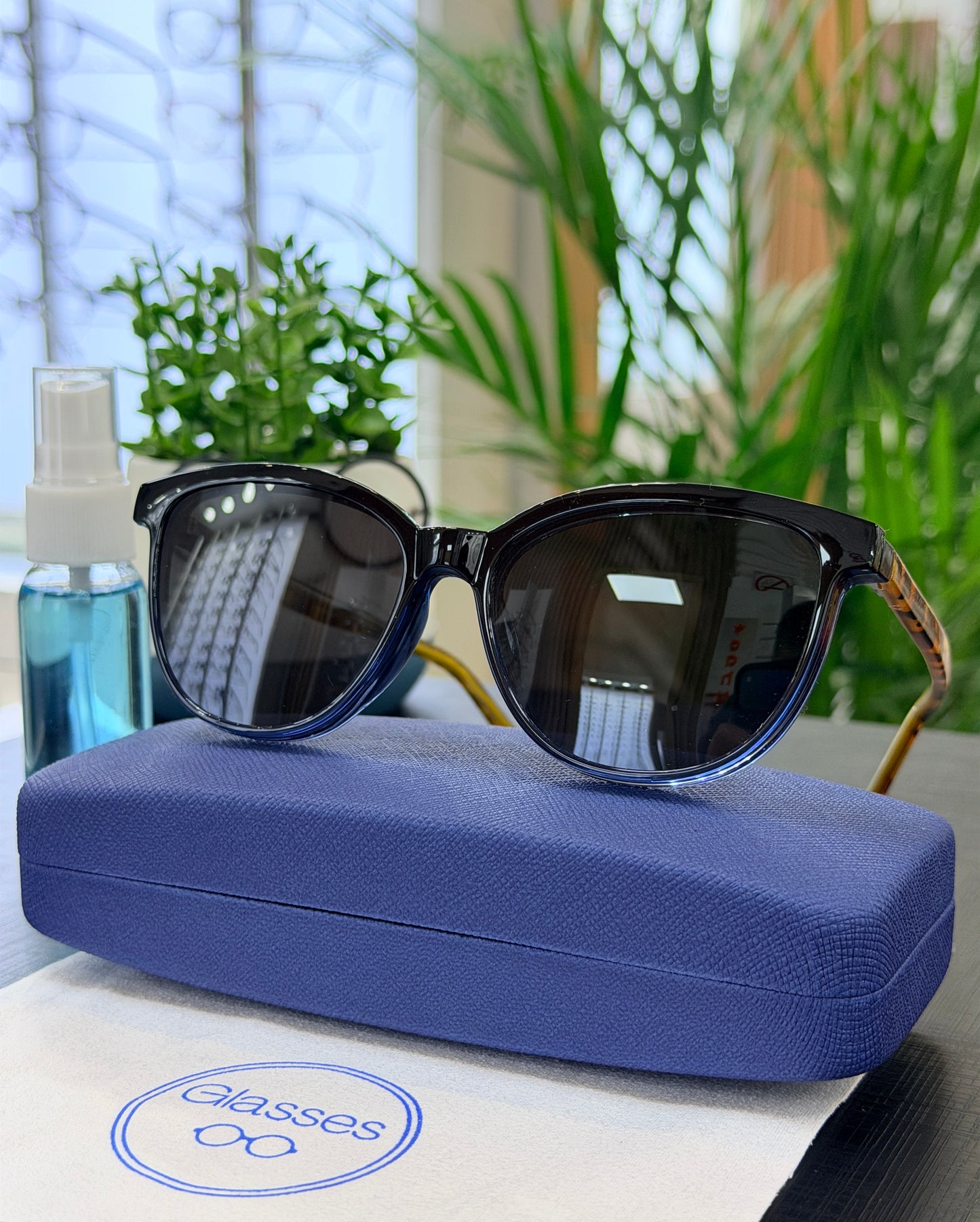 Armazón clip on Glasses