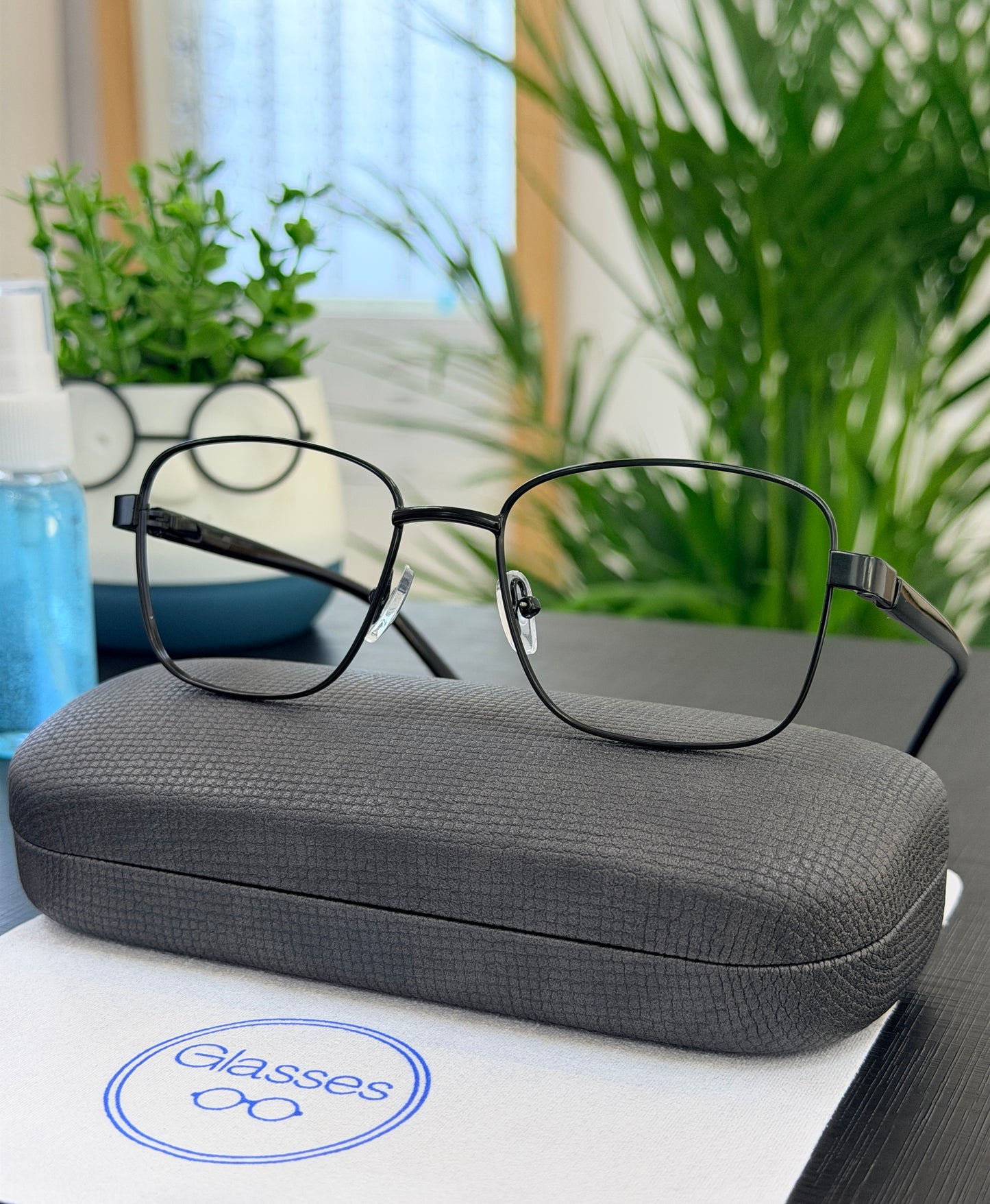 Glasses Black 010
