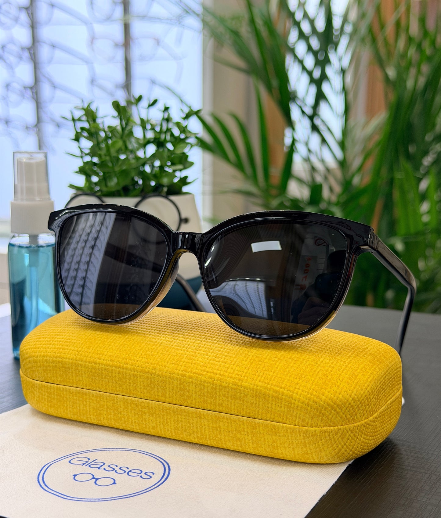 Armazón clip on polarizado Glasses