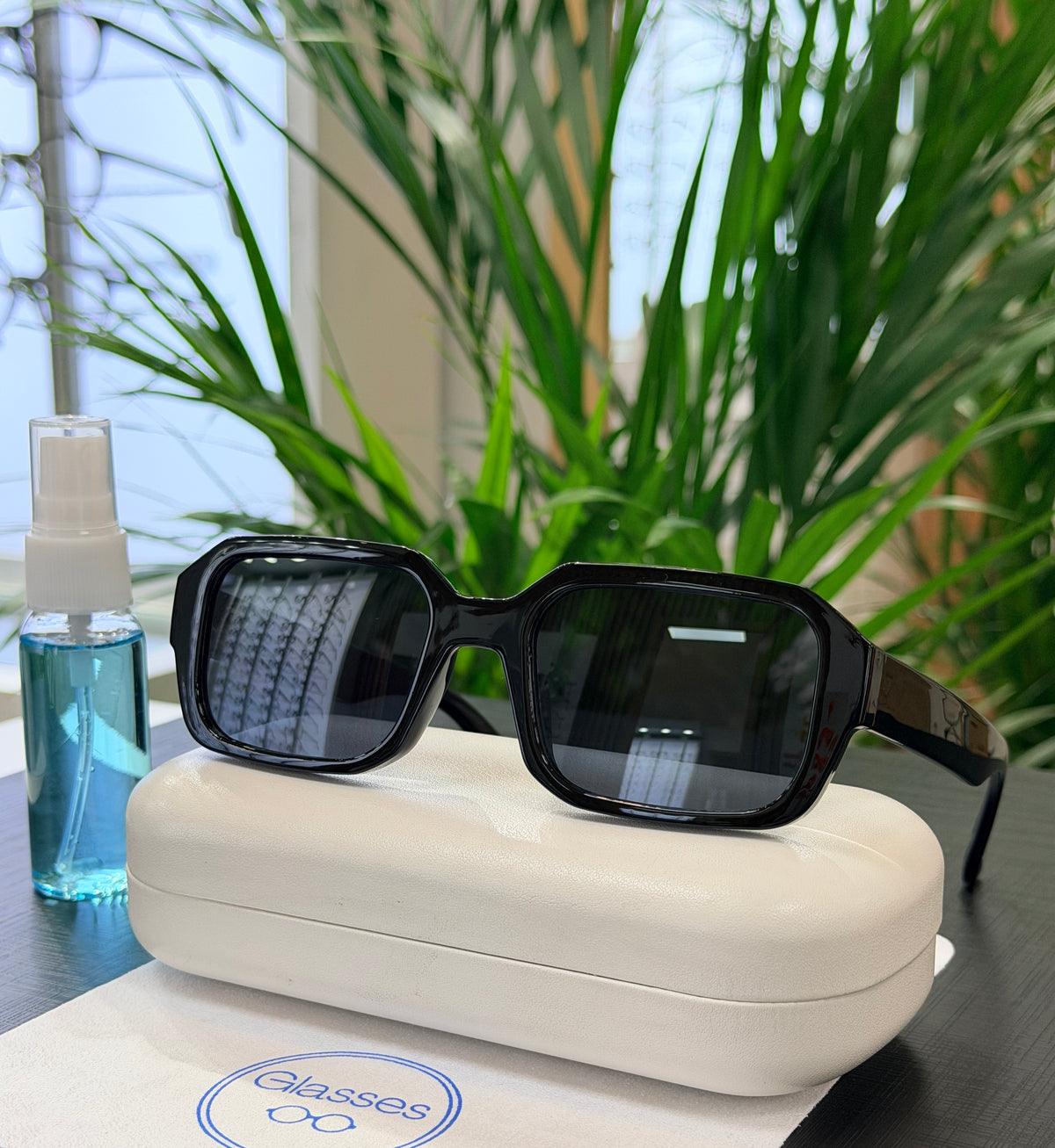 Lentes de sol Glasses UV400 CH2508