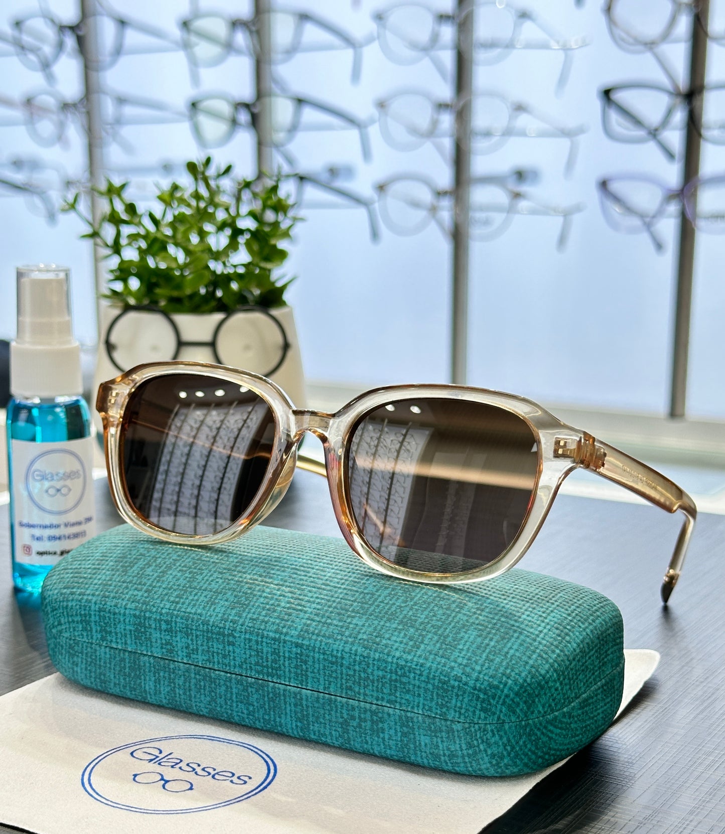 Glasses polarizado modelo  WA2550 C4