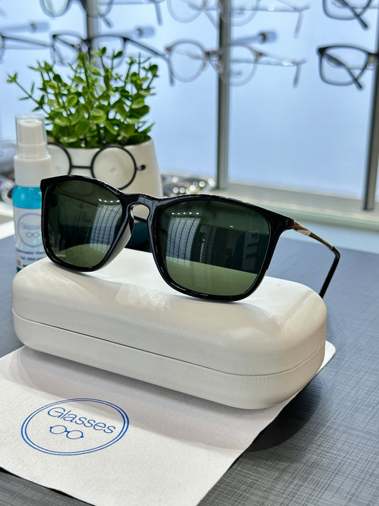 Glasses polarizado PL246 C1