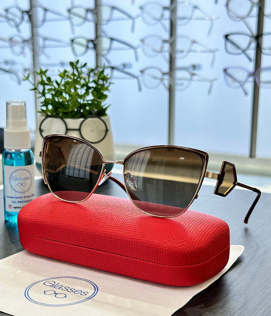 Glasses polarizado modelo 3306 Marrón