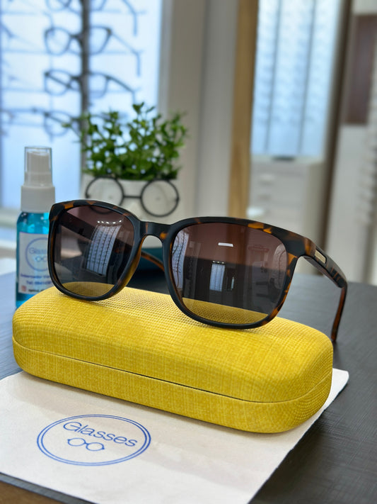 Glasses modelos PL525 C3 Marron