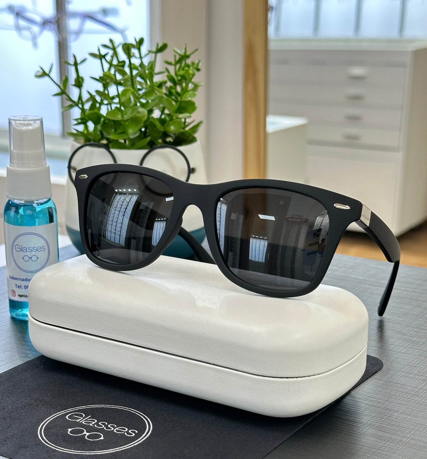 Glasses Pl212 C02 Polarizado