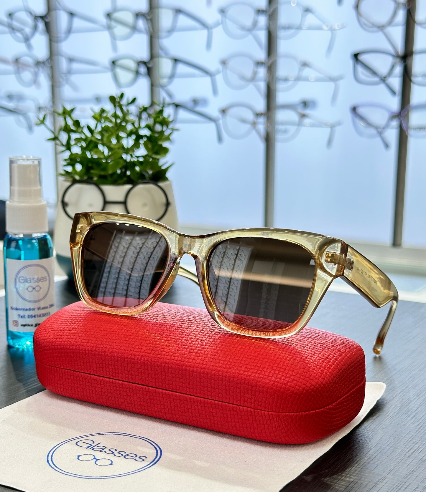 Glasses polarizado modelo WA2777