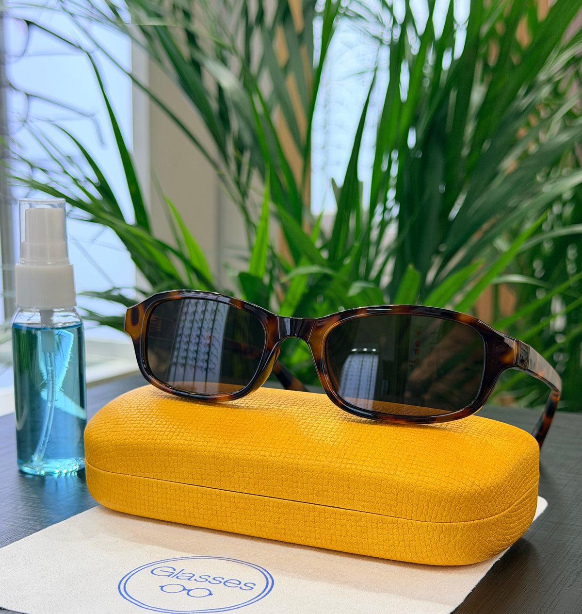 Lentes de sol Glasses uv400 CH2536