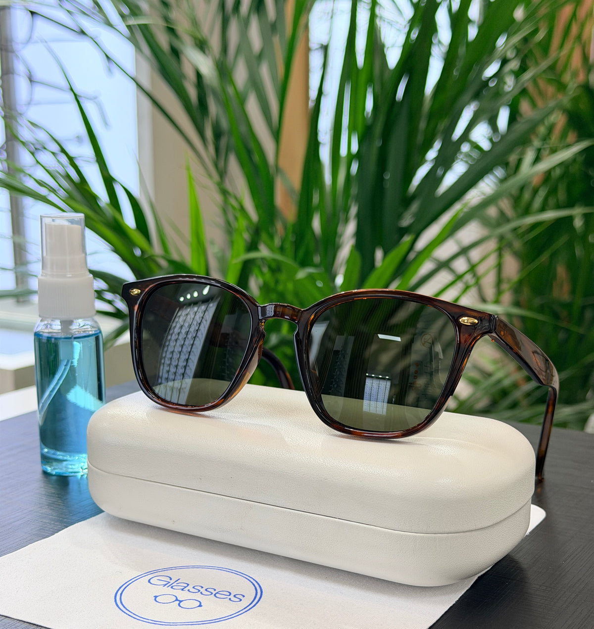 Lentes de sol Glasses polarizados  PL701