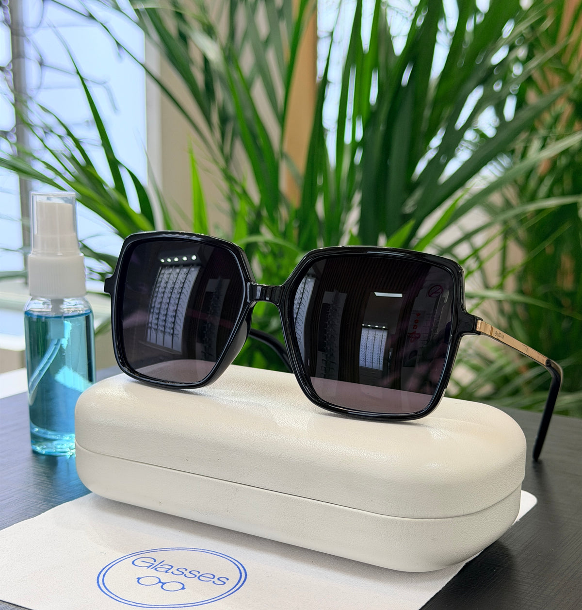 Lentes de sol Glasses polarizados PL568