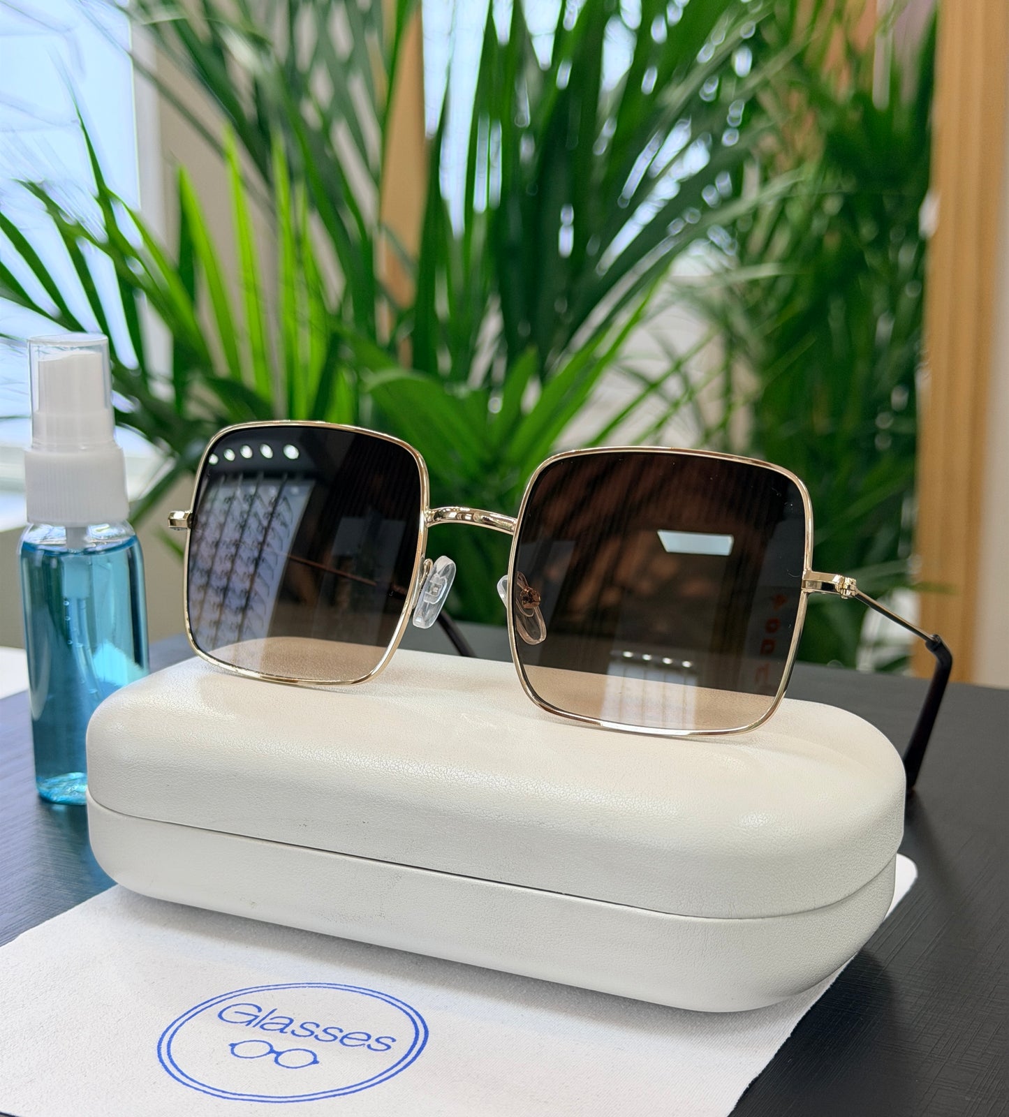 Lentes de sol Glasses uv400 CH2674